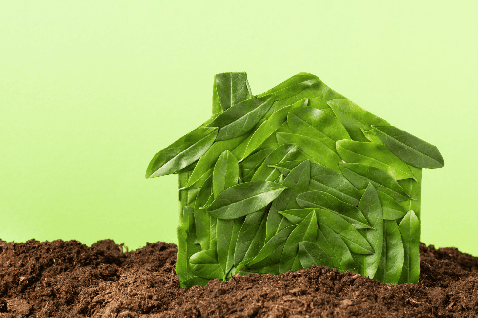 Eco-Friendly Exterior Upgrades