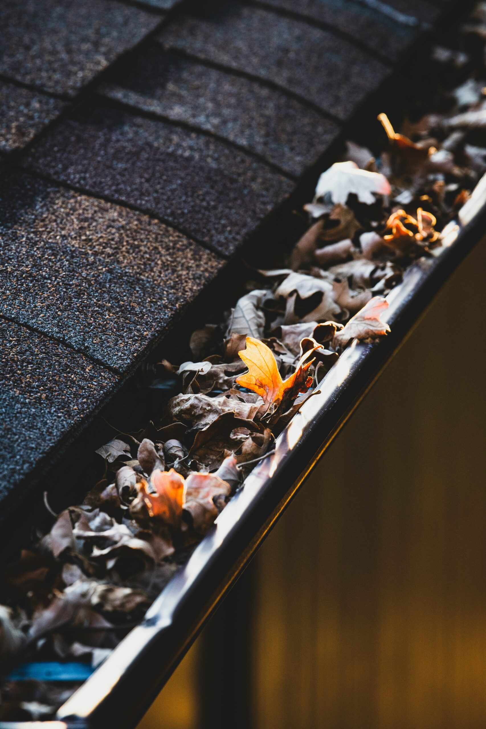 Metal gutters full of leaves.