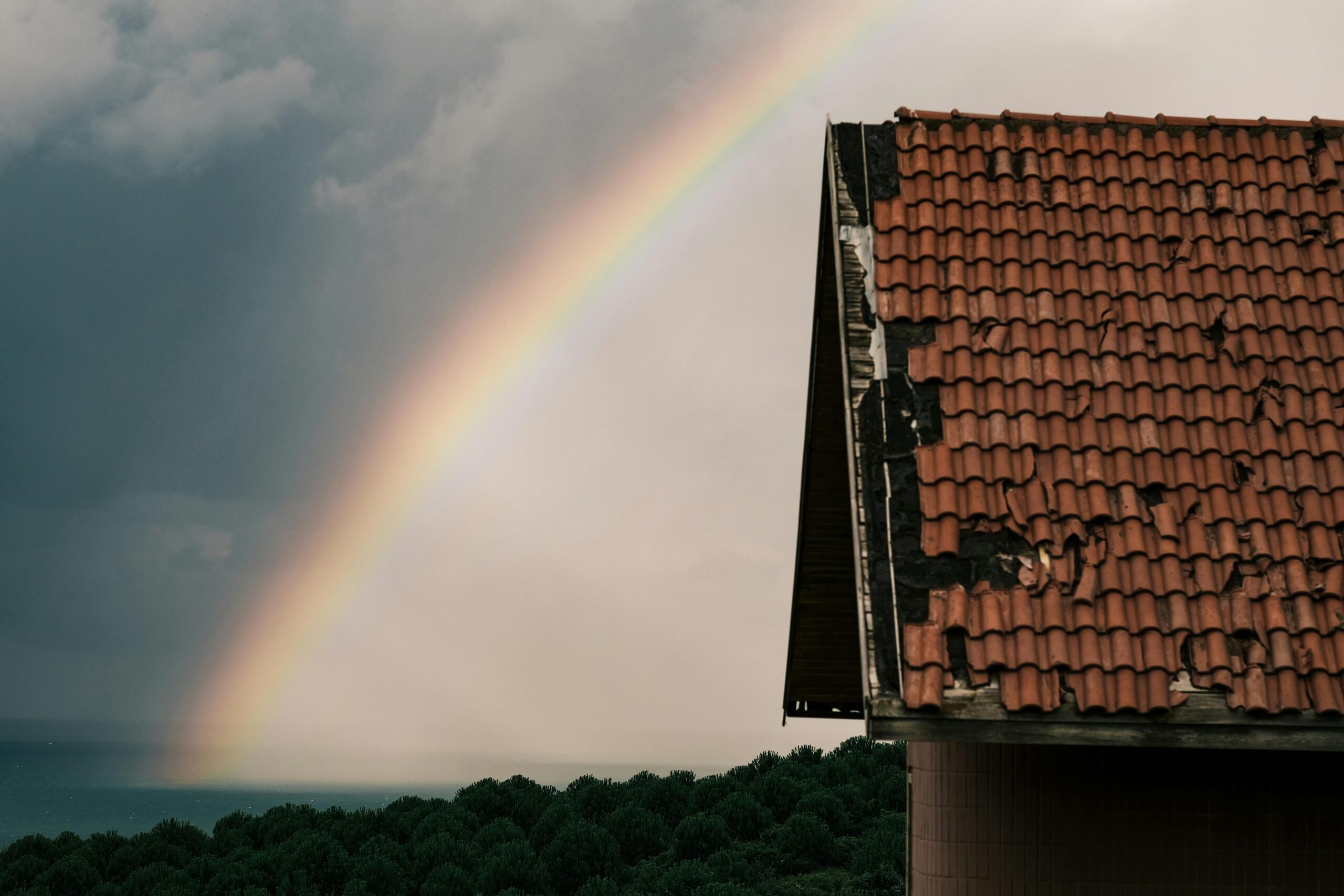 Hail-damaged asphalt shingles on a residential roof with visible granule loss and impact marks.